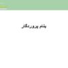 استانداردهای-بین-المللی-پیشگیری-از-مصرف-مواد