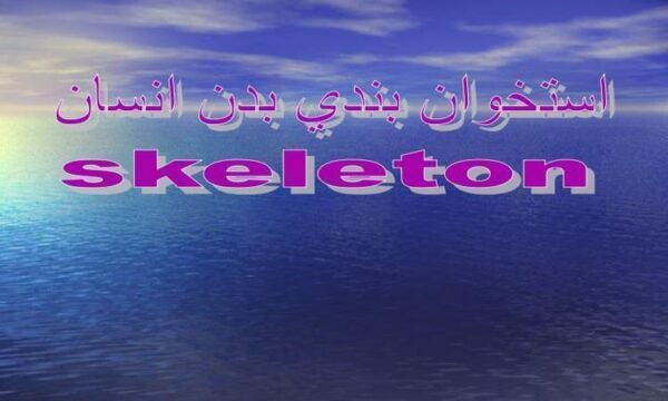 استخوان-بندی-بدن-انسان