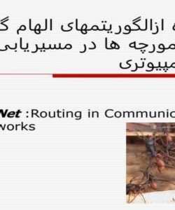 استفاده-از-الگوريتم-های-الهام-گرفته-از-کلونی-مورچه-ها-در-مسيريابی-شبکه-های-کامپيوتری