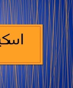 اسکیمر