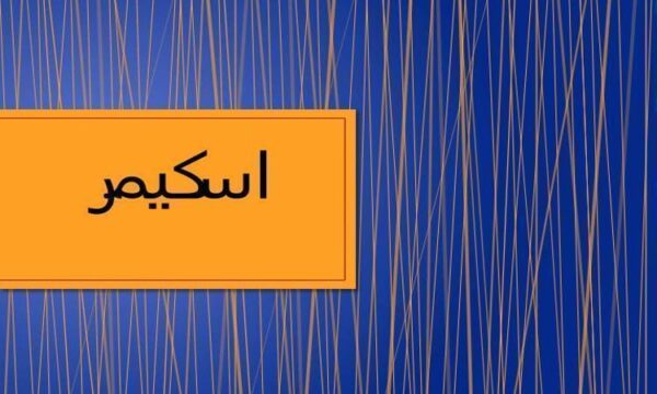 اسکیمر
