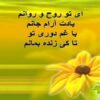 اشعاری-درباره-امام-زمان
