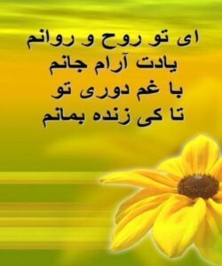 اشعاری-درباره-امام-زمان