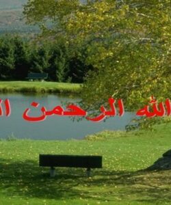اشکالات-فنی-و-ساختاری