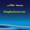 افتراق-استافیلوکوک-ها-از-میکرو-کوک-ها