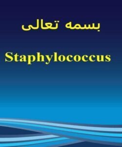 افتراق-استافیلوکوک-ها-از-میکرو-کوک-ها