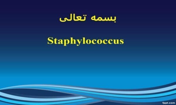 افتراق-استافیلوکوک-ها-از-میکرو-کوک-ها