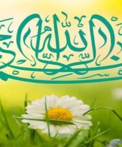 رژیم-پهلوی-چونان-رژیم-سلطانی