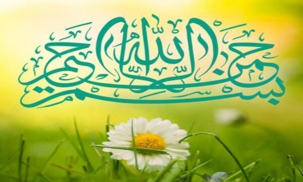 رژیم-پهلوی-چونان-رژیم-سلطانی