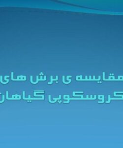 مقايسه-ی-برش-های-میکروسکوپی-گياهان