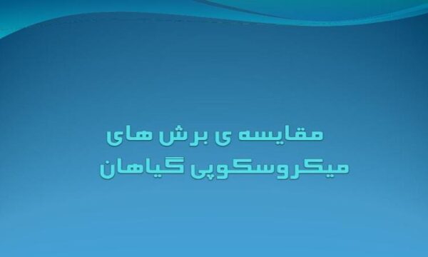 مقايسه-ی-برش-های-میکروسکوپی-گياهان