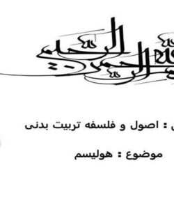 هولیسم