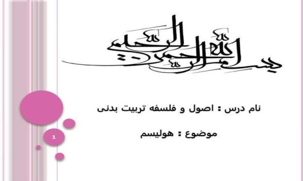هولیسم