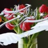 پایدار-گرایی-و-آموزش-و-پرورش