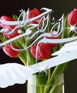 پایدار-گرایی-و-آموزش-و-پرورش