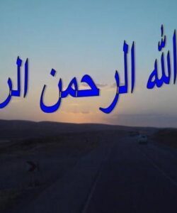 پشت-گرد