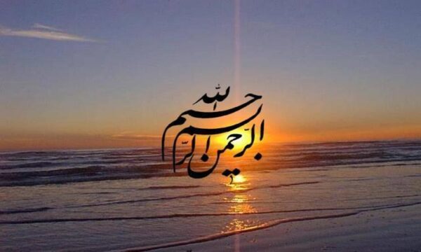 پنومونی-ناشی-از-عفونت-های-بيمارستانی