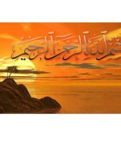 ارزش-آفرينی-در-سازمانها