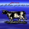 اصول-اولیه-طراحی-جایگاه-گاو-شیری