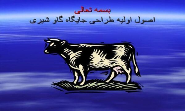 اصول-اولیه-طراحی-جایگاه-گاو-شیری