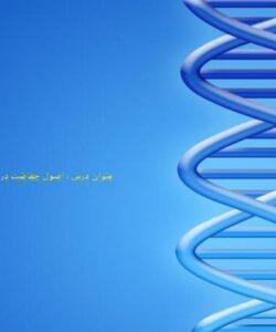 اصول-حفاظت-در-برابر-اشعه