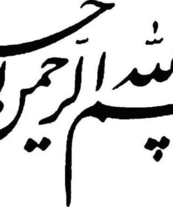 اصول-كار-تيمي