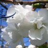 اصول-و-اهداف-آمادگی-برای-زایمان