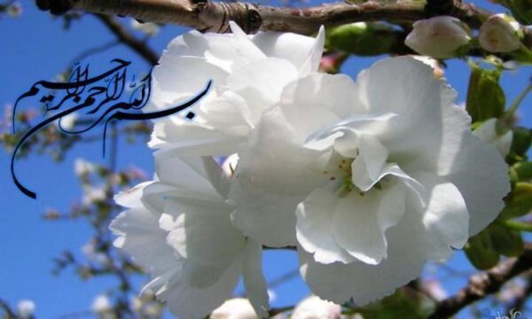 اصول-و-اهداف-آمادگی-برای-زایمان