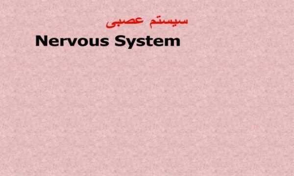 اعصاب