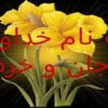 اقتصاد-و-معیشت