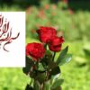 اقتصاد-چیست