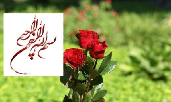 اقتصاد-چیست