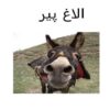 الاغ-پير