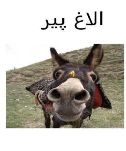 الاغ-پير