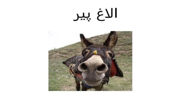 الاغ-پير