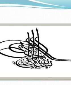 تــوســعه-یـا-چـپـاول-پـیـتـر-اوانــز