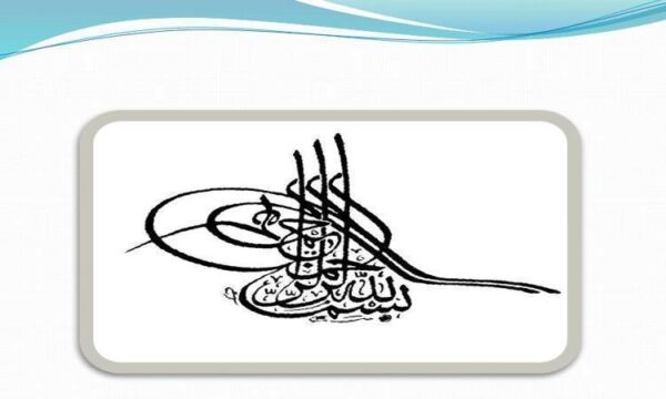 تــوســعه-یـا-چـپـاول-پـیـتـر-اوانــز