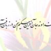 توربين-بادي