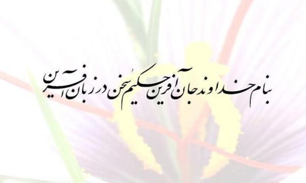توربين-بادي
