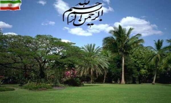 توصیه-سازمان-های-مختلف-در-احیاء