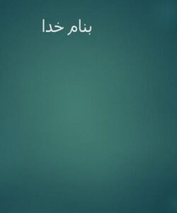 توپولوژی-وایمکس-و-مکانیزم-کارکرد-آن-در-شبکه