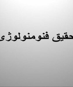 روش-تحقیق-فنومنولوژی