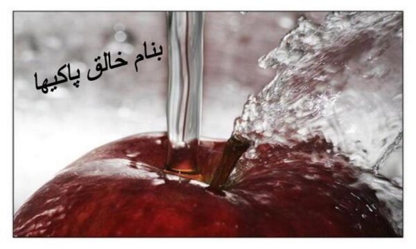 عسل-و-التيام-زخم-ها
