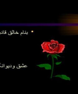عشق-و-دیوانگی