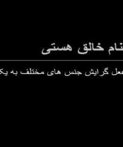 ععل-گرایش-جنس-های-مختلف-به-یکدیگر