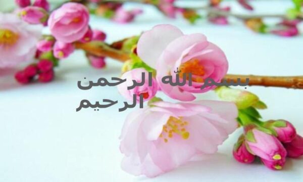 عفونت-هاي-ولو-و-واژن