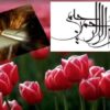عقل-و-جايگاه-آن