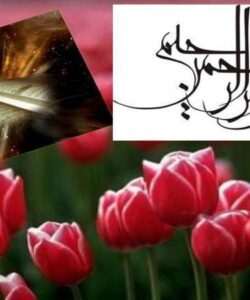 عقل-و-جايگاه-آن