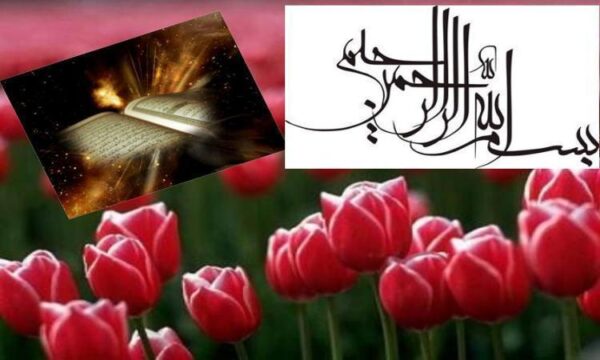 عقل-و-جايگاه-آن