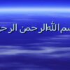 علف-های-هرز